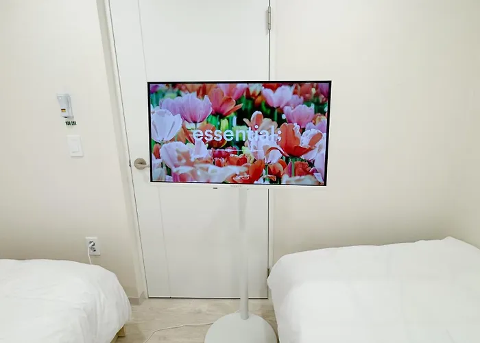 Mellow Ddp 동대문역사문화공원역트리플역세권 首爾